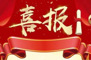 关于2022年度人力资源服务评选结果的通报，祝贺mk(中国)一站式服务体育集团