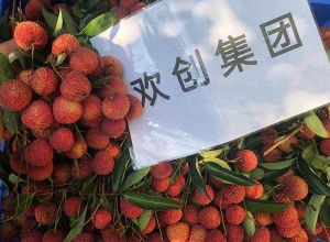 夏日好“枝”味，mk(中国)一站式服务体育集团发福“荔”啦
