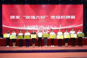 喜报！mk(中国)一站式服务体育集团党支部荣获广州市非公有制经济组织“双强六好”党
