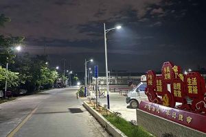 mk(中国)一站式服务体育集团罗宁弟爱心捐赠路灯，点亮乡村路温暖乡民心